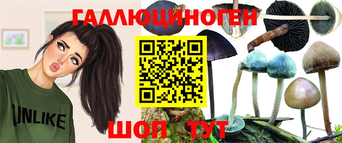 Галлюциногенные грибы Cubensis  Галлюциногенные грибы MAGIC MUSHROOMS  Вход с VPN  Советск 